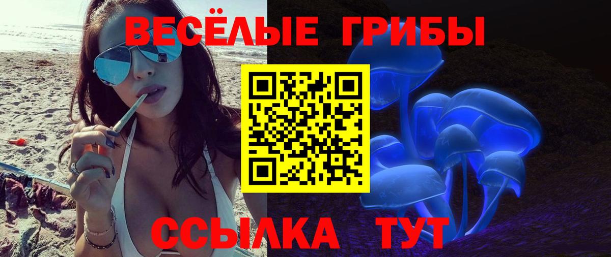 Галлюциногенные грибы мицелий  Вход с VPN  Сердобск 